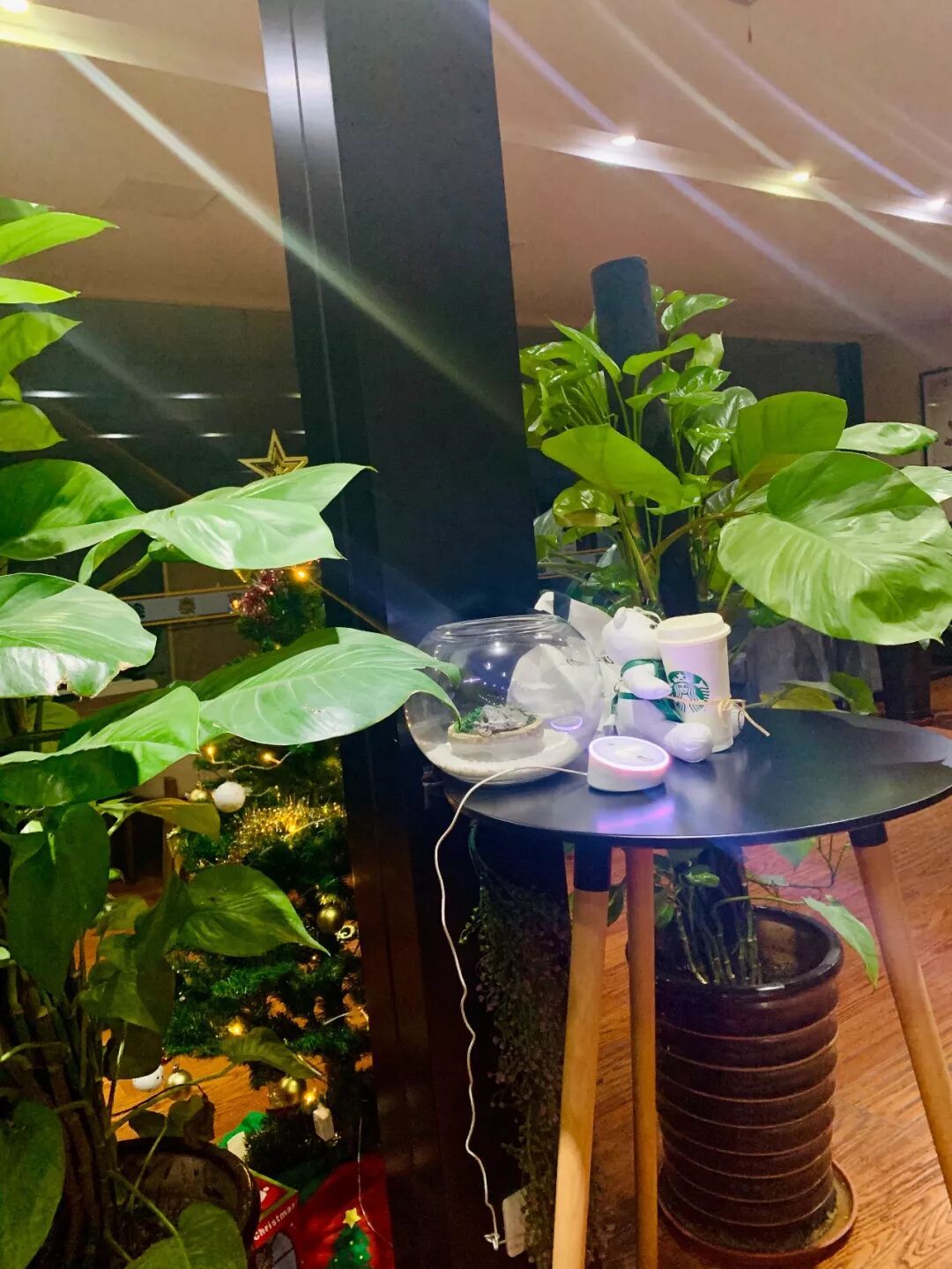 圣诞快乐！请查收这份来自TTK®涂泰克的节日祝福：